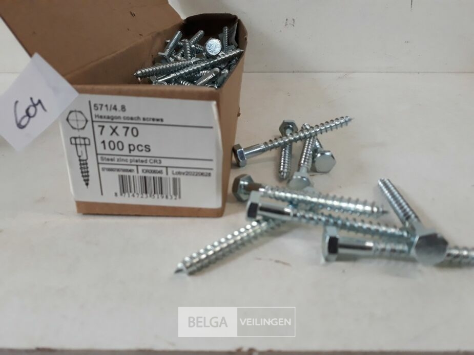 1 x Houtdraadbout verzinkt 7 x 70 mm 100 stuks – foto 3 – kavel bij Belga Veilingen, Oudsbergen