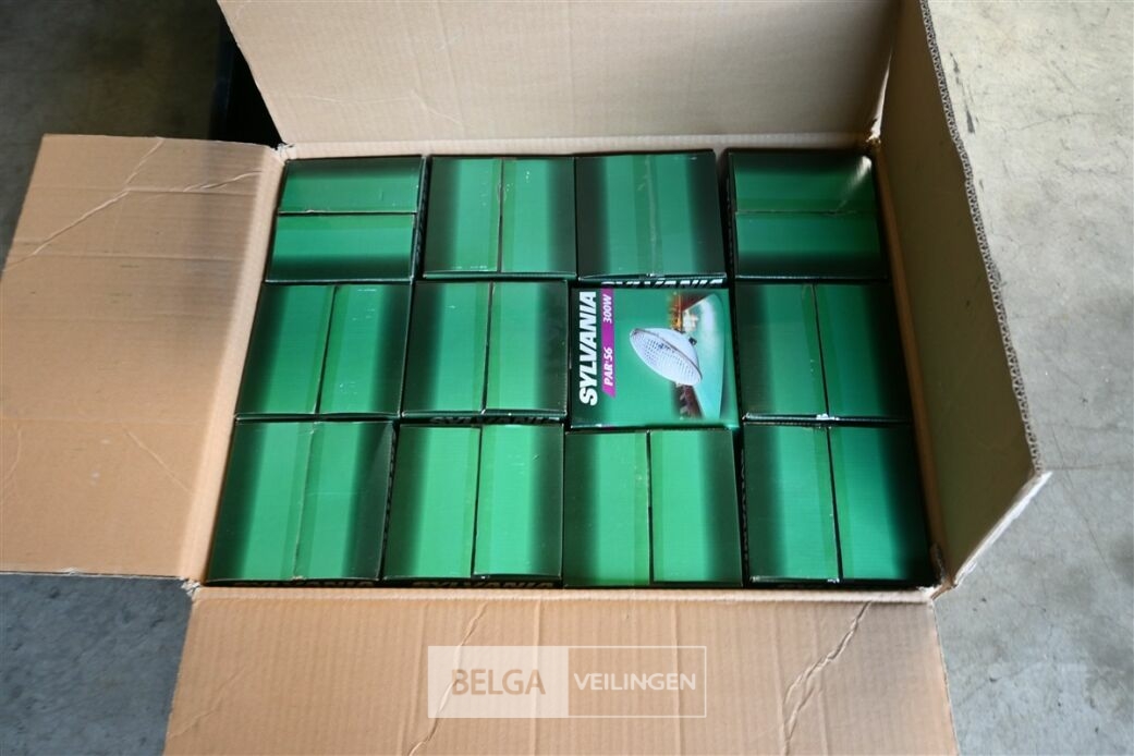 Partij SYLVANIA zwembadlampen – foto 2 – kavel bij Belga Veilingen