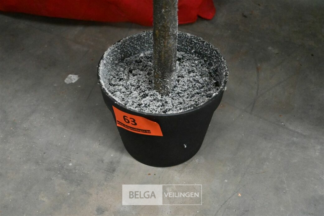 1 Witte kerstboom – foto 5 – kavel bij Belga Veilingen, Lummen