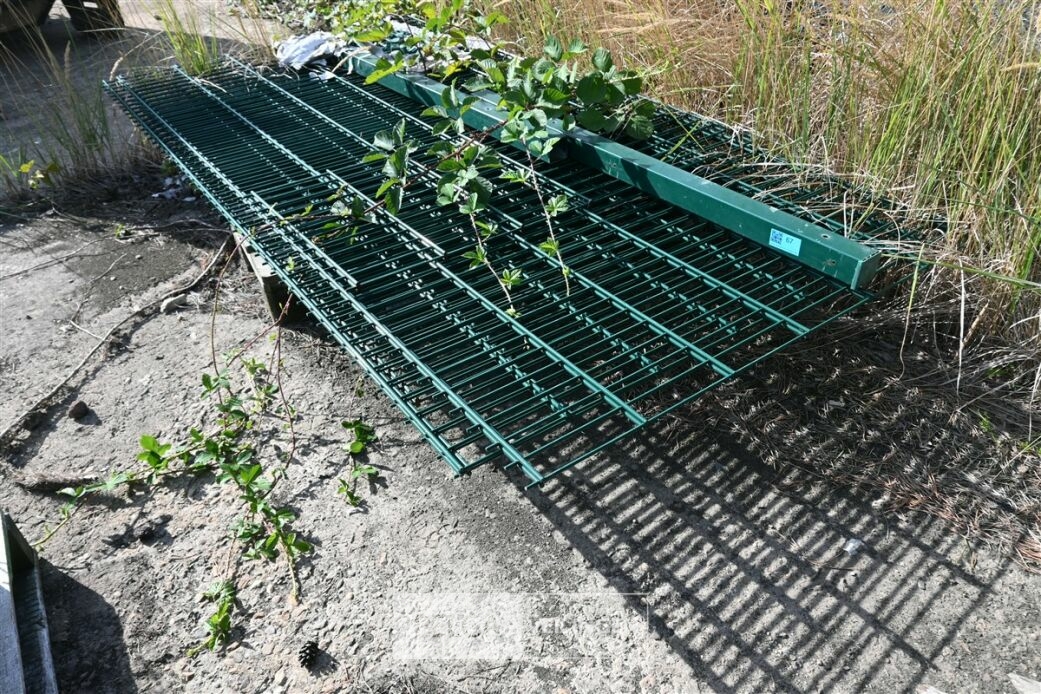 Draadpanelen + poort – foto 2 – kavel bij Belga Veilingen