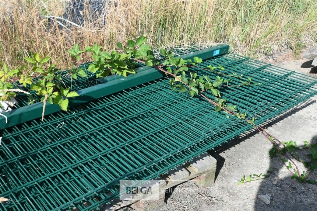 Draadpanelen + poort – foto 4 – kavel bij Belga Veilingen