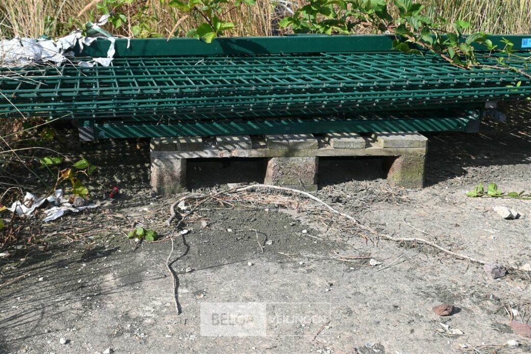 Draadpanelen + poort – foto 6 – kavel bij Belga Veilingen