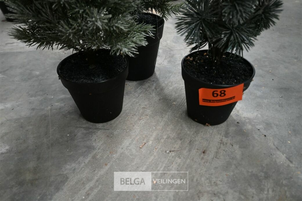 ± 3 Diverse kerstbomen – foto 6 – kavel bij Belga Veilingen, Lummen