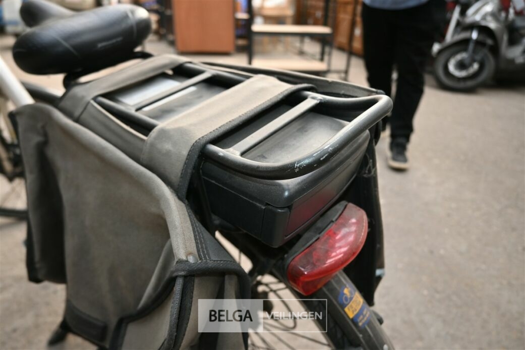 Elektrisch damesfiets D-CYCLE – foto 3 – kavel bij Belga Veilingen