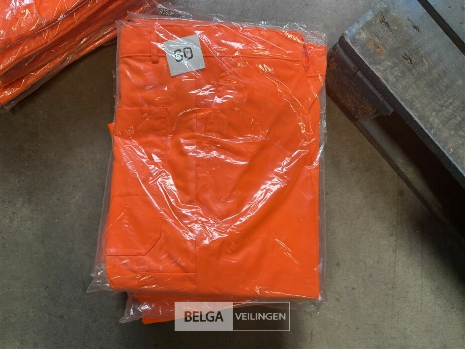 10x Veiligheidsbroeken – foto 3 – kavel bij Belga Veilingen