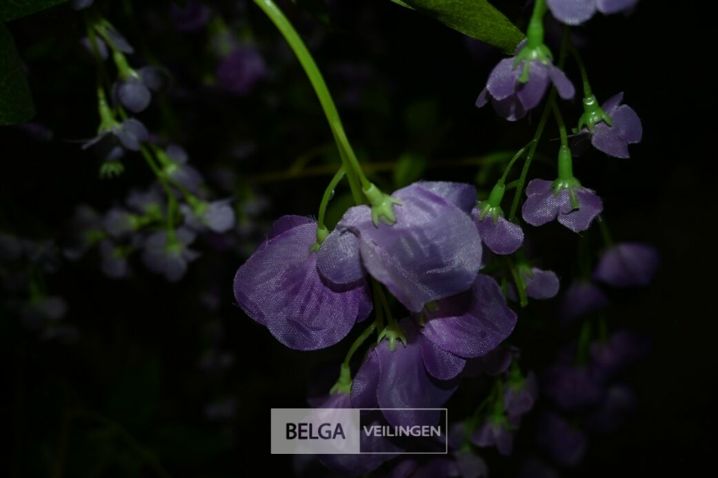 Plastieken hangende bloemenboom – foto 5 – kavel bij Belga Veilingen, Lummen
