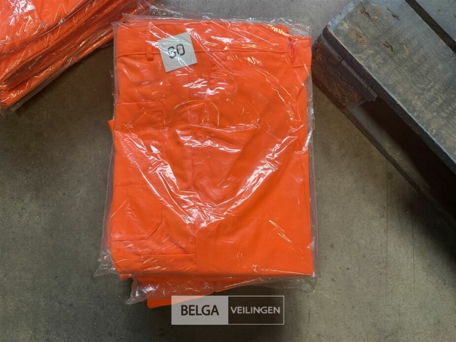 9x Veiligheidsbroeken – foto 3 – kavel bij Belga Veilingen