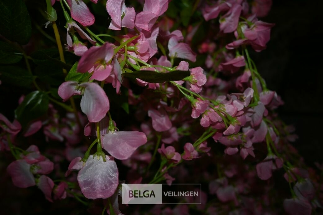 Plastieken hangende bloemenboom – foto 5 – kavel bij Belga Veilingen, Lummen