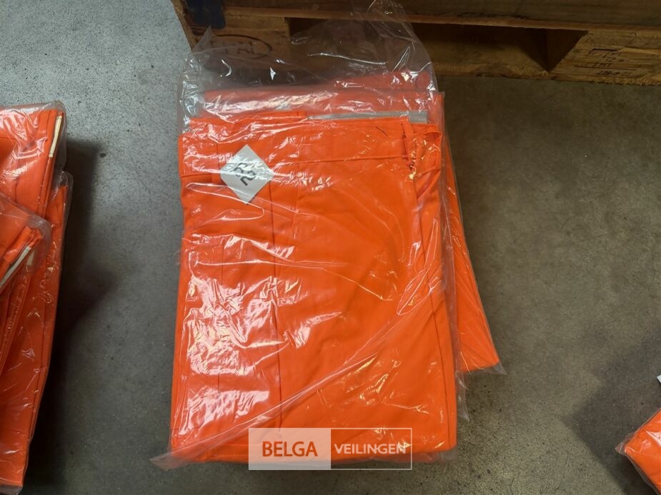 9x Veiligheidsbroeken – foto 3 – kavel bij Belga Veilingen