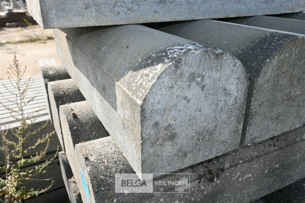 ± 24 Biggenruggen – foto 3 – kavel bij Belga Veilingen
