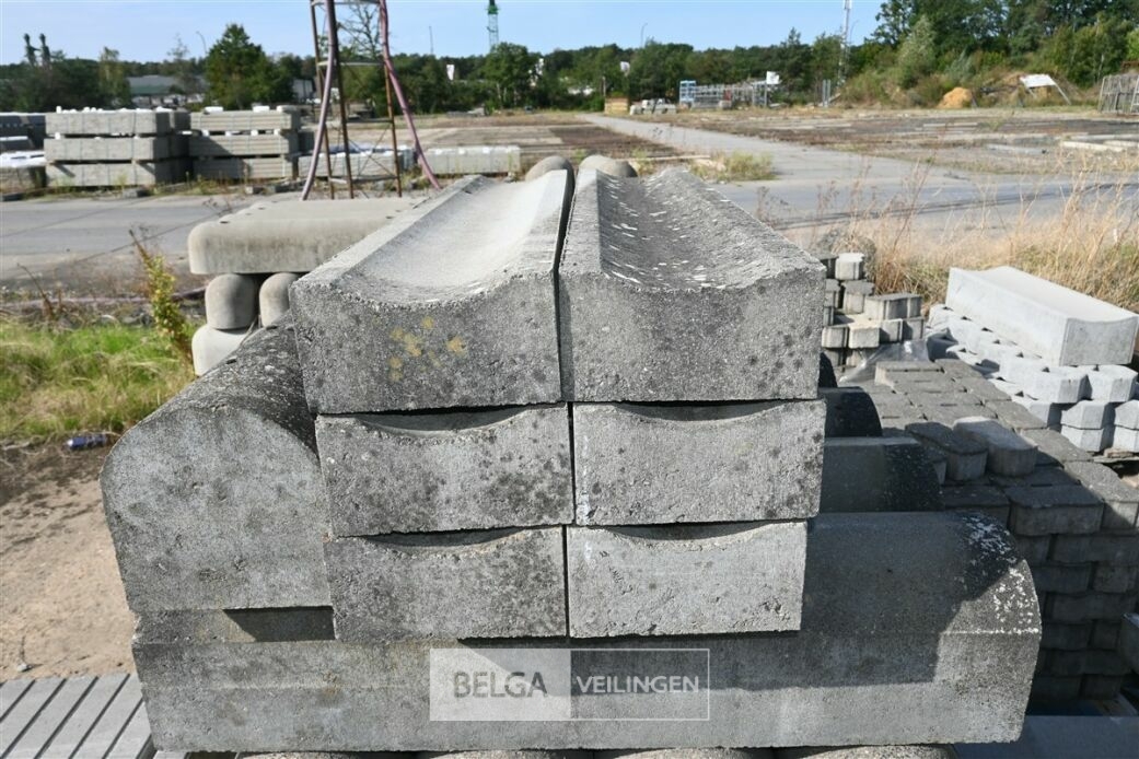 ± 24 Biggenruggen – foto 4 – kavel bij Belga Veilingen