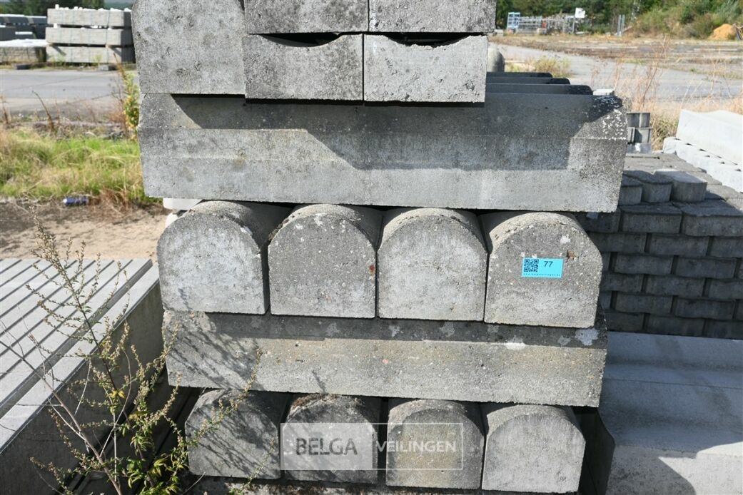 ± 24 Biggenruggen – foto 5 – kavel bij Belga Veilingen