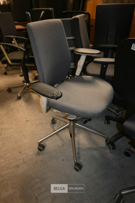 Partij bureaustoelen – foto 5 – kavel bij Belga Veilingen