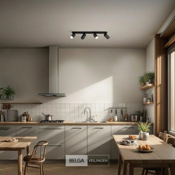 Philips Pongee opbouwspot - 4-lichts - zwart – foto 4 – kavel bij Belga Veilingen, Bree