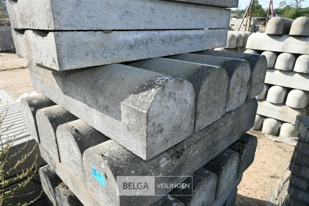± 24 Biggenruggen – foto 6 – kavel bij Belga Veilingen