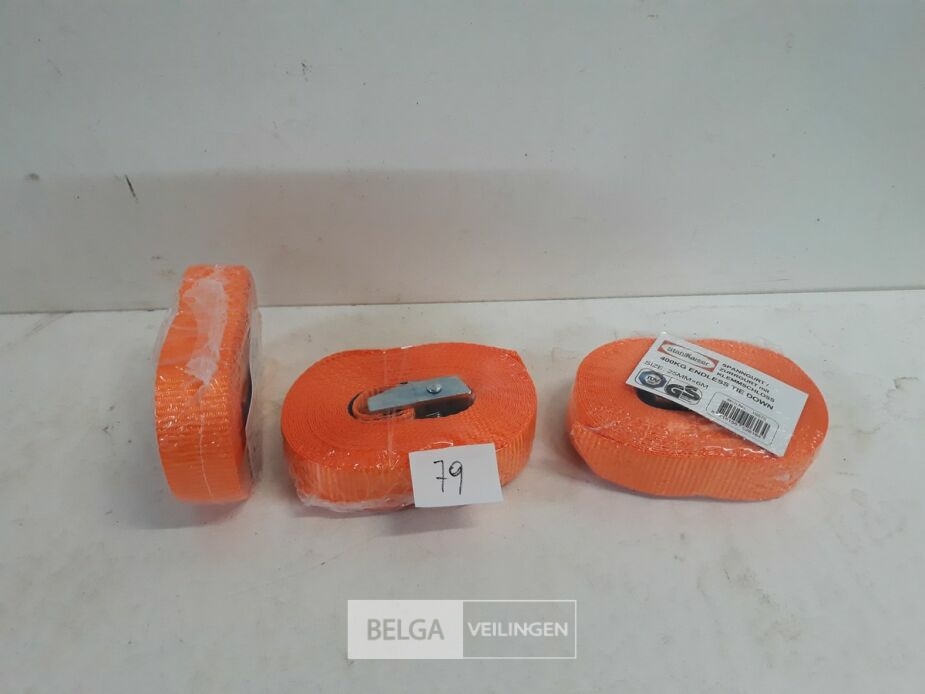 3 x Spanbanden met spanklem – foto 2 – kavel bij Belga Veilingen, Oudsbergen