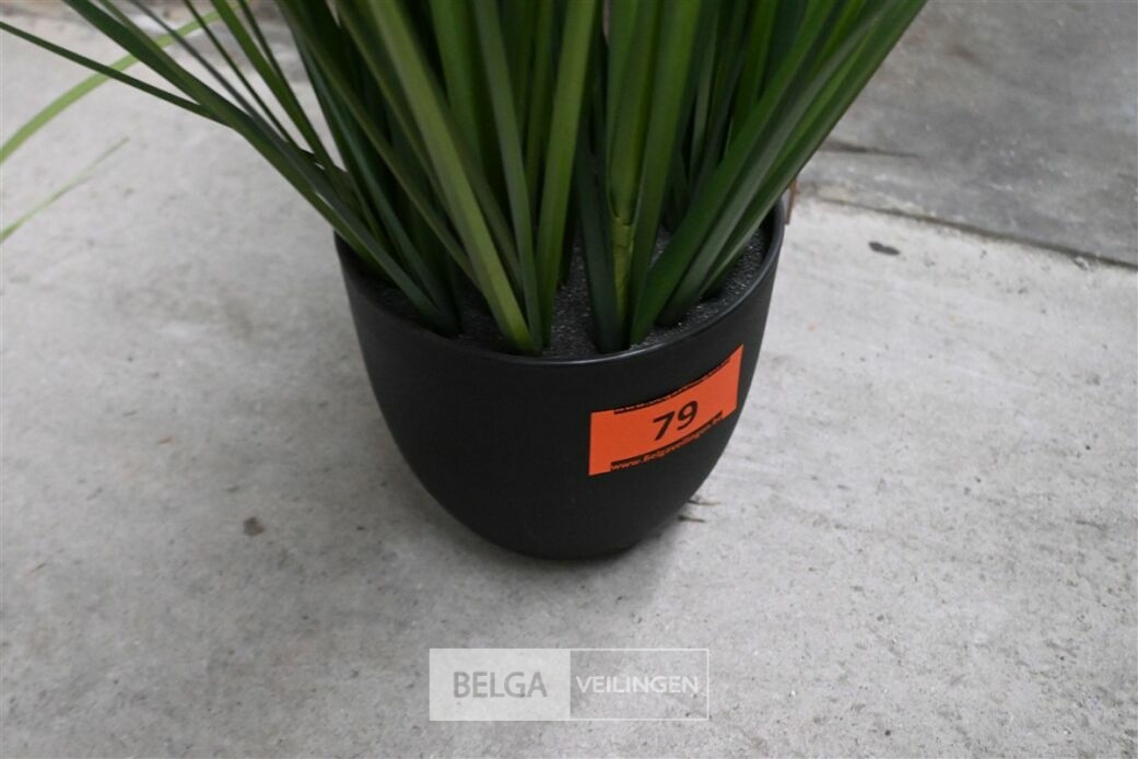 1 Siergras plastiek – foto 4 – kavel bij Belga Veilingen, Lummen