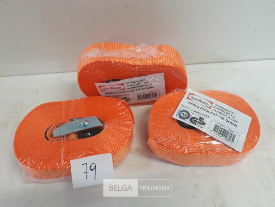 3 x Spanbanden met spanklem – foto 3 – kavel bij Belga Veilingen, Oudsbergen