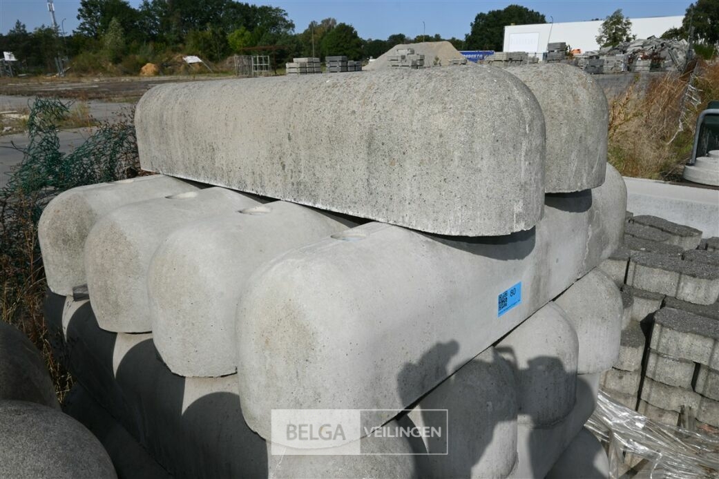 ± 26 Biggenruggen – foto 5 – kavel bij Belga Veilingen