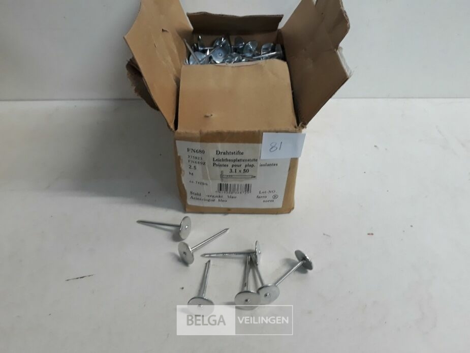 1 x Nagels verzinkt grote ronde kop 2,5 kg 3,1x50 mm – foto 2 – kavel bij Belga Veilingen, Oudsbergen