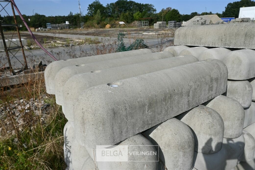 ± 24 Biggenruggen – foto 4 – kavel bij Belga Veilingen