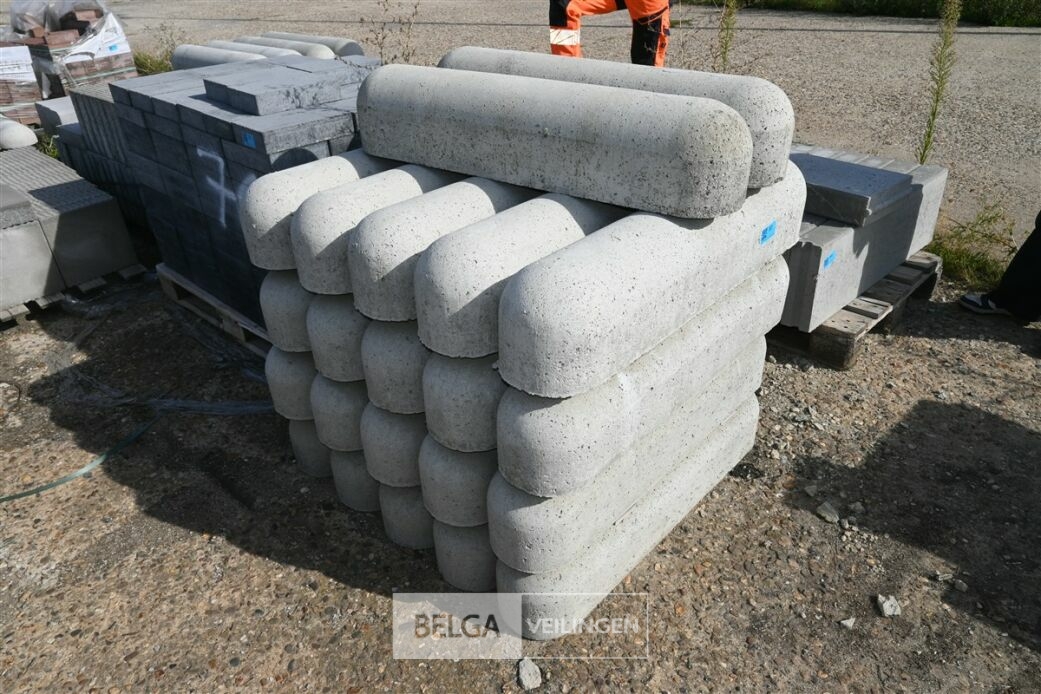 ± 20 Biggenruggen – foto 2 – kavel bij Belga Veilingen