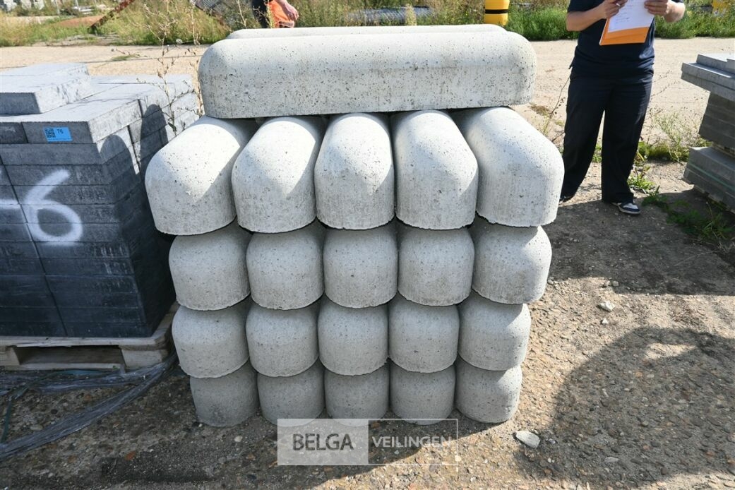 ± 20 Biggenruggen – foto 3 – kavel bij Belga Veilingen