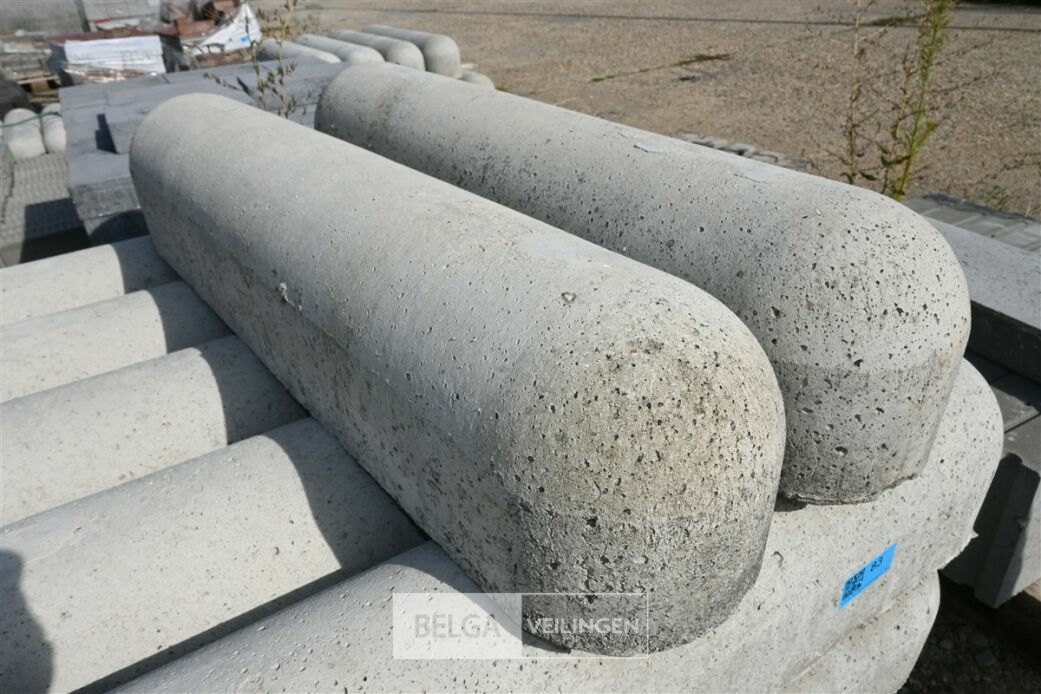 ± 20 Biggenruggen – foto 4 – kavel bij Belga Veilingen