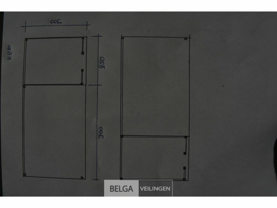 Buitenverblijf met berging douglas afm 250x300cm, 550x300x245x230cm – foto 7 – kavel bij Belga Veilingen, Lummen