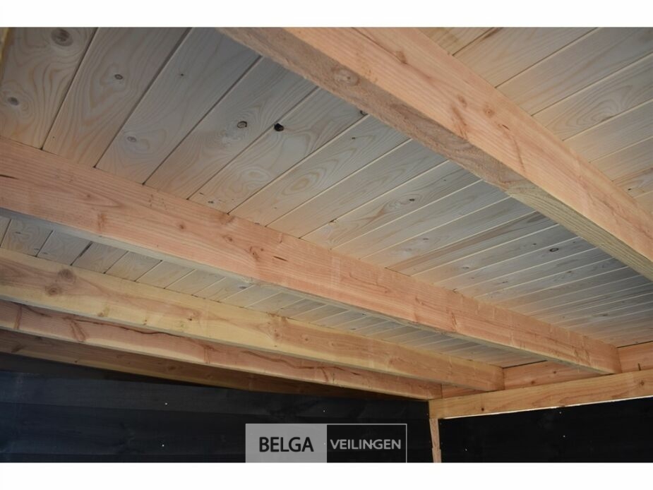 Buitenverblijf met berging douglas afm 250x400cm, 650x400x245x230cm – foto 6 – kavel bij Belga Veilingen, Lummen