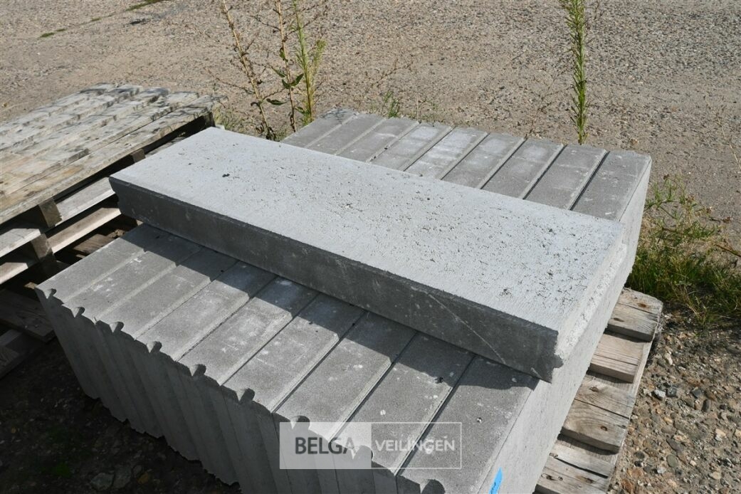 ± 10 Borduurstenen – foto 4 – kavel bij Belga Veilingen