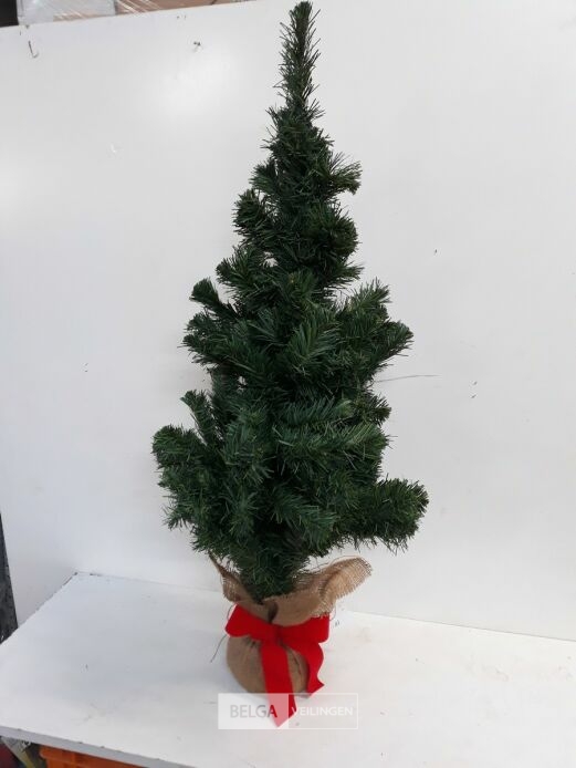 1 x Kerstboom 95 cm op kluit – foto 2 – kavel bij Belga Veilingen, Oudsbergen