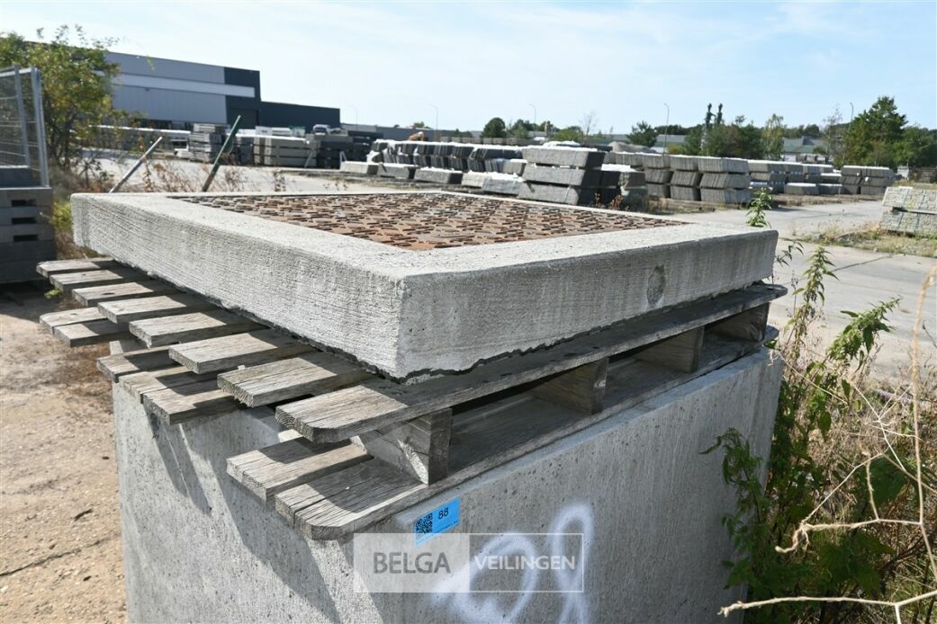 1 Mangat (zwaar verkeer) – foto 4 – kavel bij Belga Veilingen