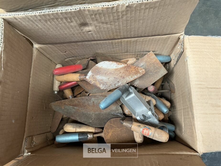 ± 30 Mortelscheppen – foto 2 – kavel bij Belga Veilingen, Lummen