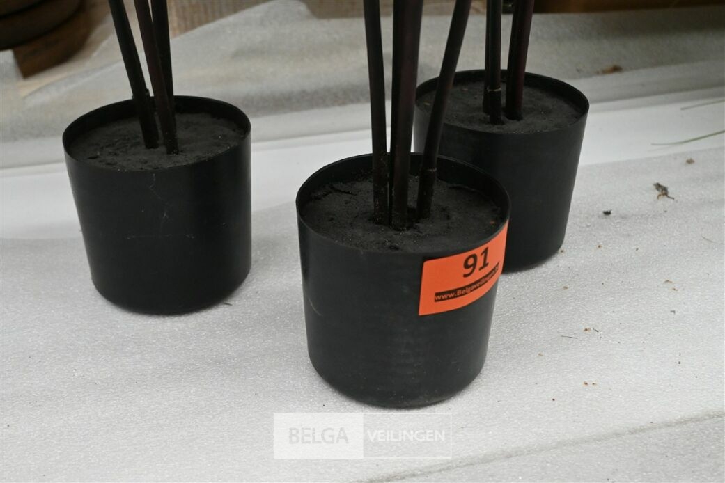 ± 3x Plastieken bamboeriet – foto 5 – kavel bij Belga Veilingen, Lummen
