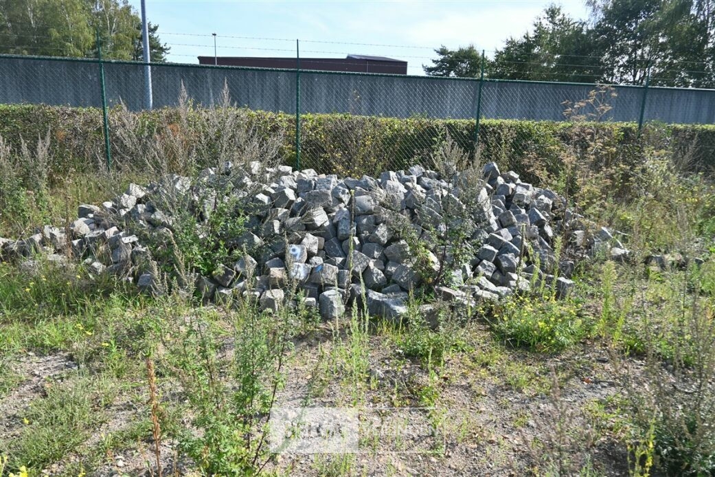 Partij kasseien – foto 3 – kavel bij Belga Veilingen