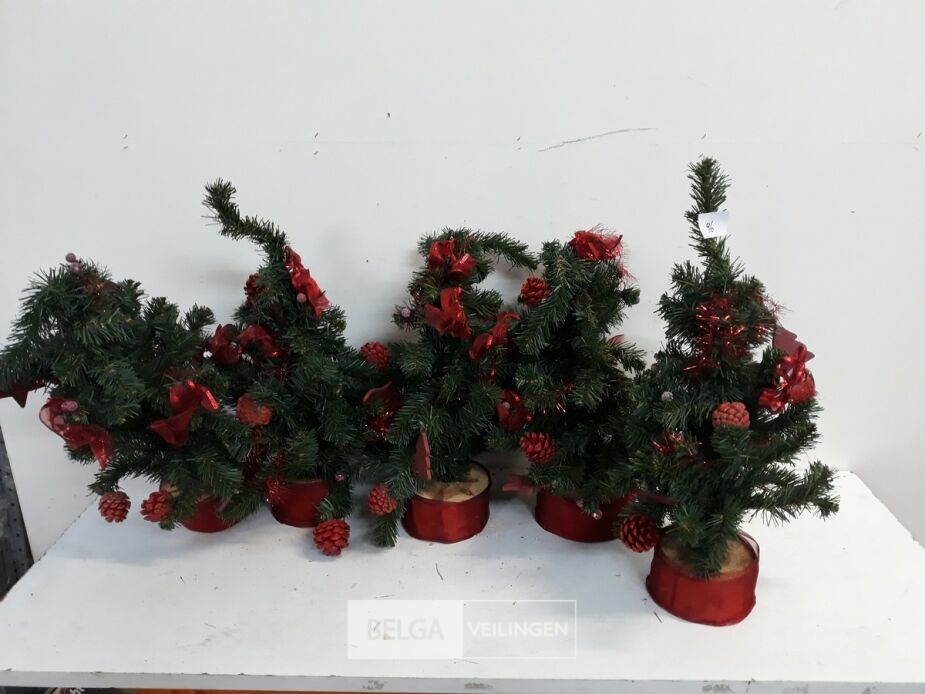 5 x Kerstboom 45 cm met houten voet – foto 2 – kavel bij Belga Veilingen, Oudsbergen