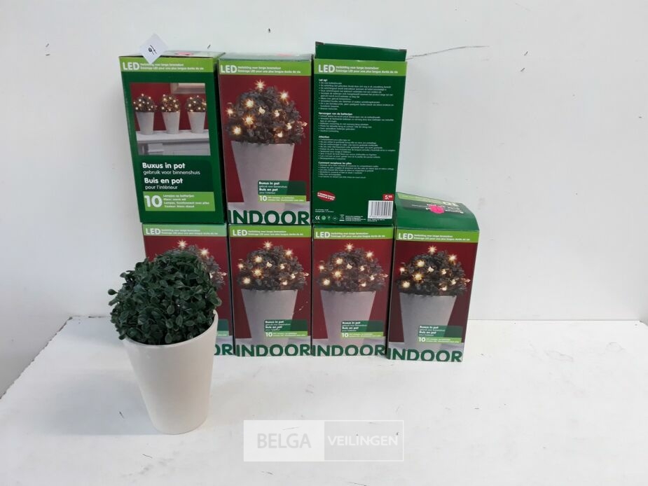 10 x Buxusbol in pot met 10 LED lampjes – foto 2 – kavel bij Belga Veilingen, Oudsbergen