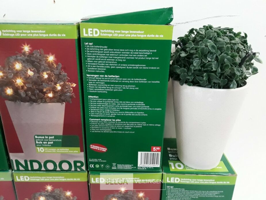 10 x Buxusbol in pot met 10 LED lampjes – foto 3 – kavel bij Belga Veilingen, Oudsbergen