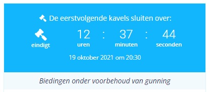 biedingen onder voorbehoud